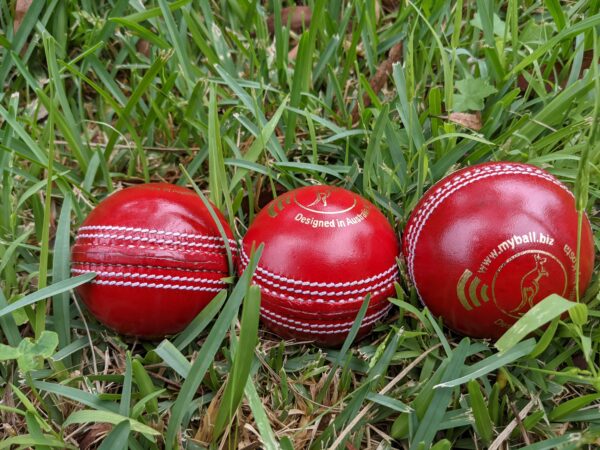 Smart Cricket ball leather
