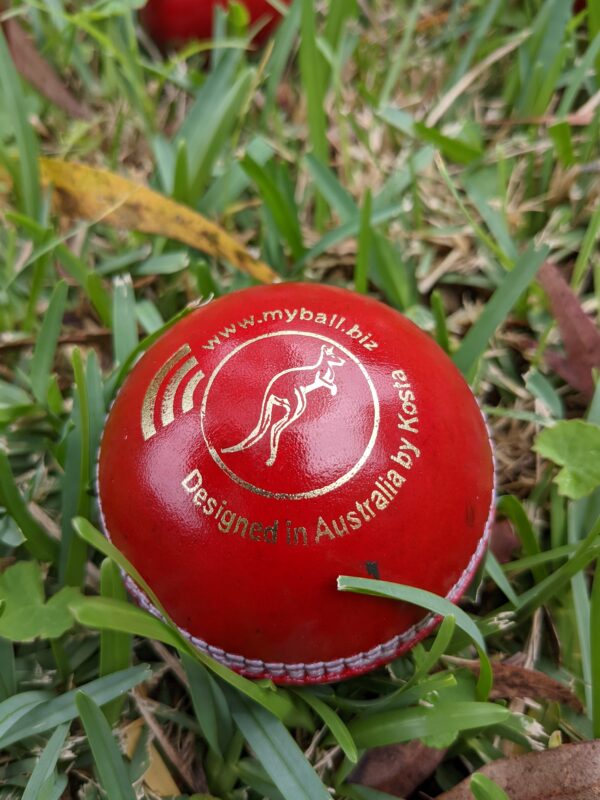 Leather smart cricket ball